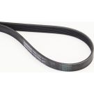 CONTINENTAL CTAM Keilrippenriemen 6PK1173