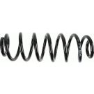 Sachs Fahrwerksfeder Vw T. Passat 05- Combi/Tiguan 05- Reinforced 994 369
