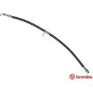 BREMBO Bremsschlauch T 11 014 ESSENTIAL LINE