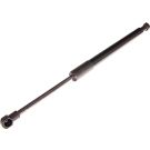 Gasfeder, Koffer-/Laderaum 12-0232