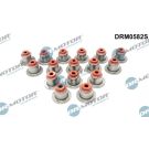 Dichtungssatz, Ventilschaft DRM0582S
