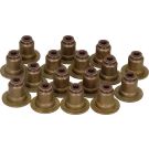 Dichtungssatz Ventilschaft 12-37621-01