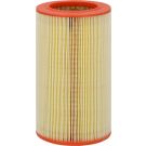 FILTRON Luftfilter AR 234/4