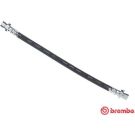 BREMBO Bremsschlauch T 28 012 ESSENTIAL LINE