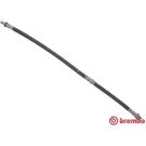 BREMBO Bremsschlauch T 06 042 ESSENTIAL LINE