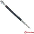 BREMBO Bremsschlauch T 24 144 ESSENTIAL LINE