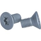 Schraube, Bremsscheibe TPM0010