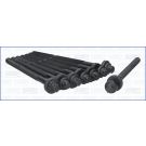 Zylinderkopfschraubensatz 81049700