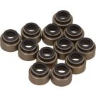 Dichtungssatz Ventilschaft 12-52992-01