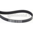 Keilrippenriemen 6Pk1306 6PK1306