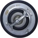 Thermostat, Kühlmittel 352317101230