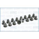 Dichtungssatz, Ventilschaft 57047000