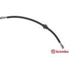 BREMBO Bremsschlauch T 68 049 ESSENTIAL LINE