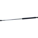 Gasfeder, Hinten L 516 580N 572661