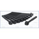 Zylinderkopfschraubensatz AJU81003900