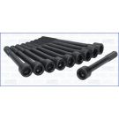 Zylinderkopfschraubensatz 81030900