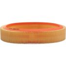 FILTRON Luftfilter AR 216