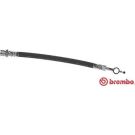 BREMBO Bremsschlauch T 83 118
