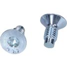 Schraube, Bremsscheibe TPM0004