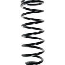 SPIDAN Fahrwerksfeder 55029
