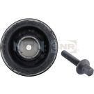 Riemenscheibe+Schraube DPF350.01K1