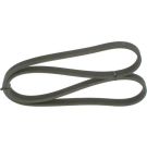 Keilrippenriemen SEAT,VW 1987946211