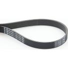 PASEK WIELOKLINOWY 6PK1310