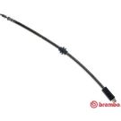 BREMBO Bremsschlauch T 61 028 ESSENTIAL LINE