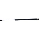 Gasfeder, Hinten L 620,5 570N 203183