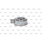 Ölkühler, Motor“L 31248
