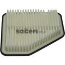 FRAM Luftfilter CA10169