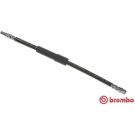 BREMBO Bremsschlauch T 50 058 ESSENTIAL LINE