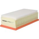 FILTRON Luftfilter AP 178/1