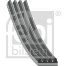 FEBI BILSTEIN Rillenriemen 28796