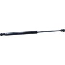 Gasfeder, Hinten L 372 495N 450788