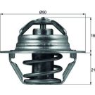 Thermostateinsatz mit Dichtung TX 100 89D