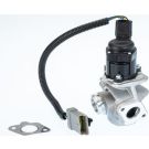BorgWarner (Wahler) AGR-Ventil 710936D/1