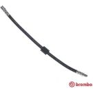 BREMBO Bremsschlauch T 50 068 ESSENTIAL LINE