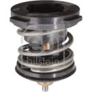 Thermostat, Kühlmittel 104981