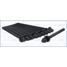 Zylinderkopfschraubensatz 81017600