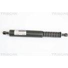 Gasfeder, Koffer-/Laderaum 871029264