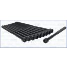 Zylinderkopfschraubensatz 81026800