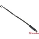 BREMBO Bremsschlauch T 59 019 ESSENTIAL LINE