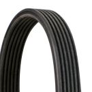 CONTINENTAL CTAM Keilrippenriemen 6DPK1188