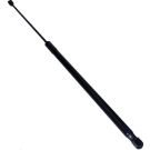 Gasfeder, Hinten 385311