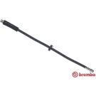 BREMBO Bremsschlauch T 23 049 ESSENTIAL LINE