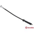 BREMBO Bremsschlauch T 10 017 ESSENTIAL LINE