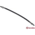 BREMBO Bremsschlauch T 24 019 ESSENTIAL LINE