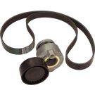 Satz Multi-Roved Gürtel. Dacia/Nissan/Renault 117203694R