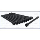 Zylinderkopfschraubensatz 81025200